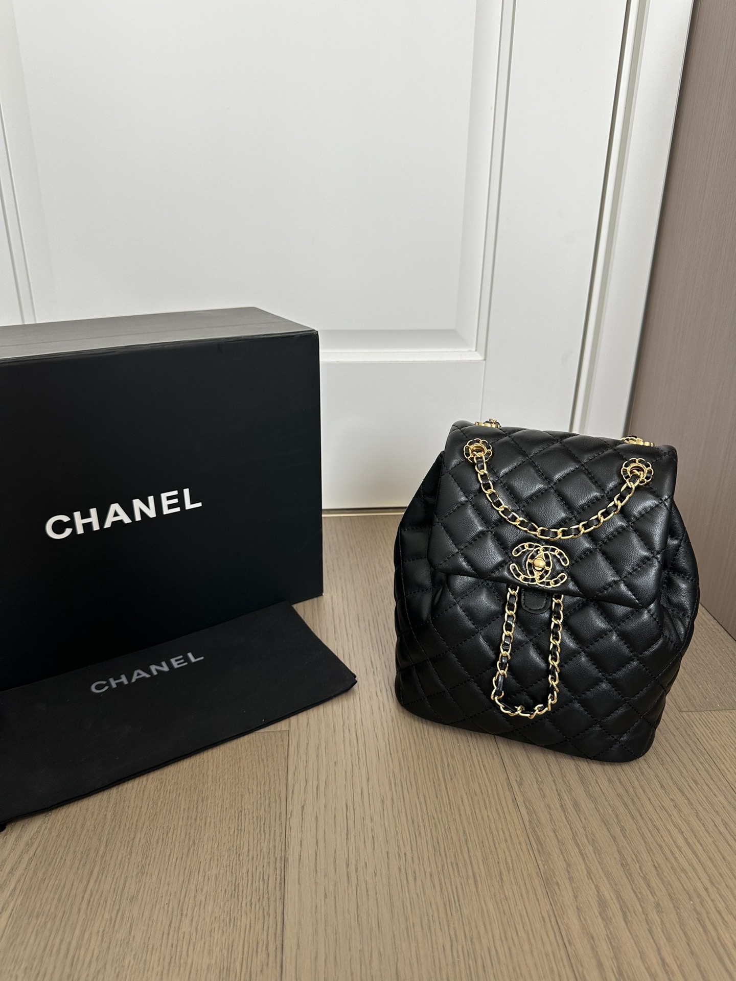 Chanel backpack 24P