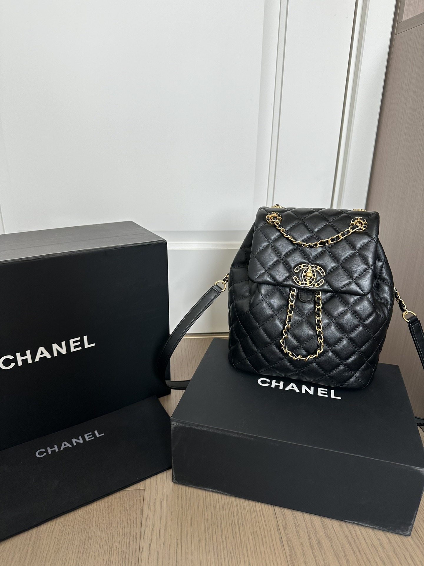 Chanel backpack 24P