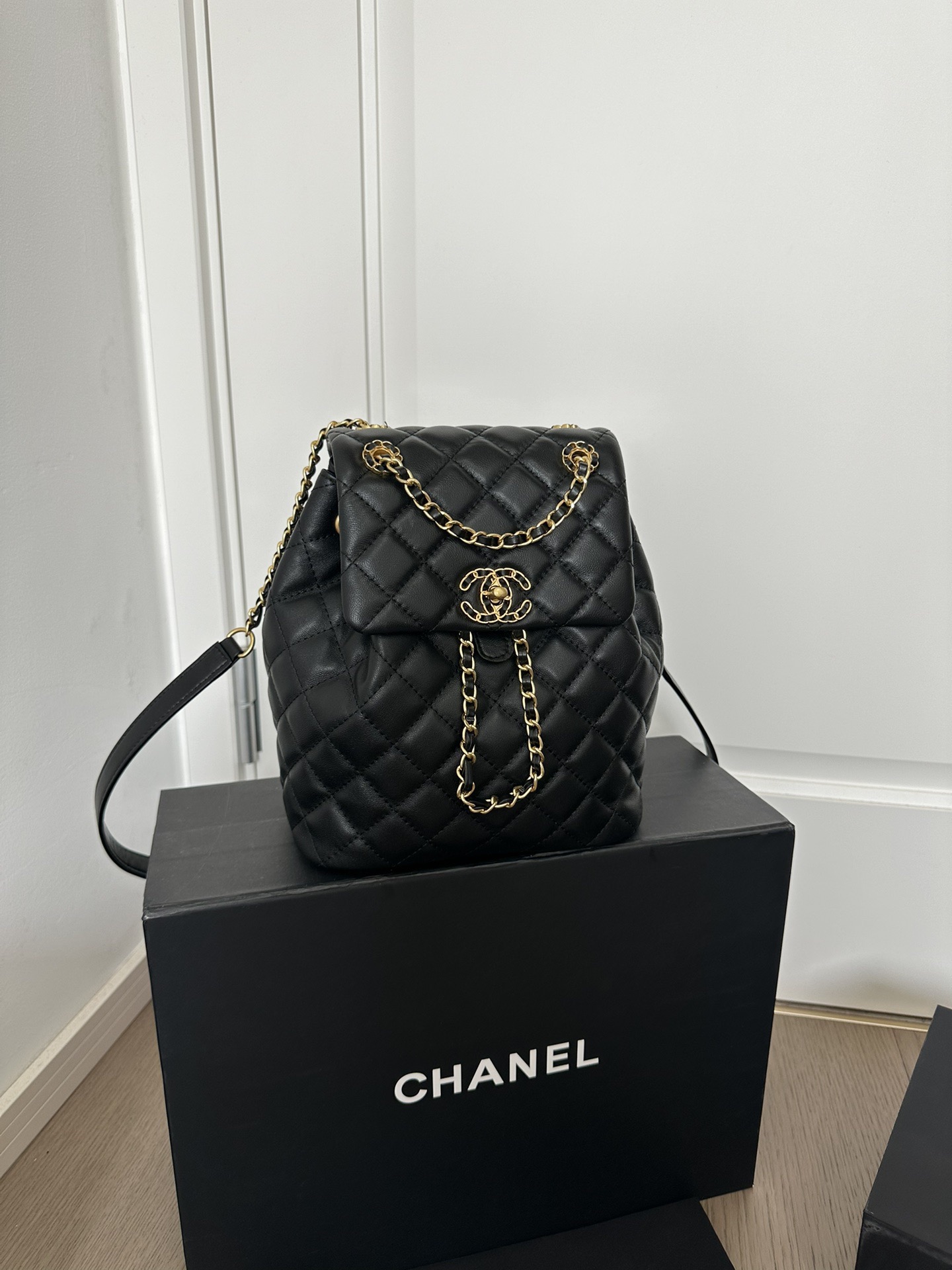 Chanel backpack 24P