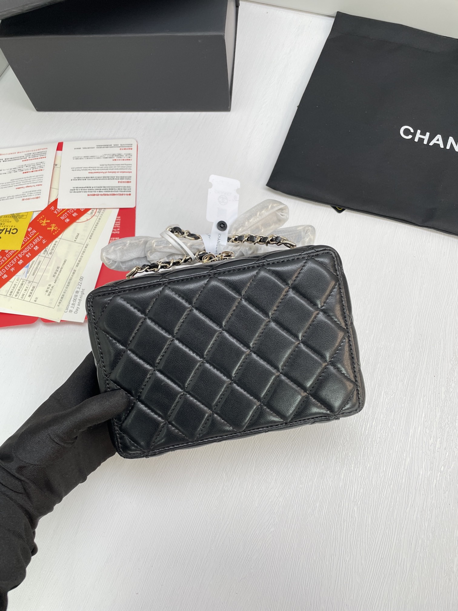 Chanel camera bag 24SS