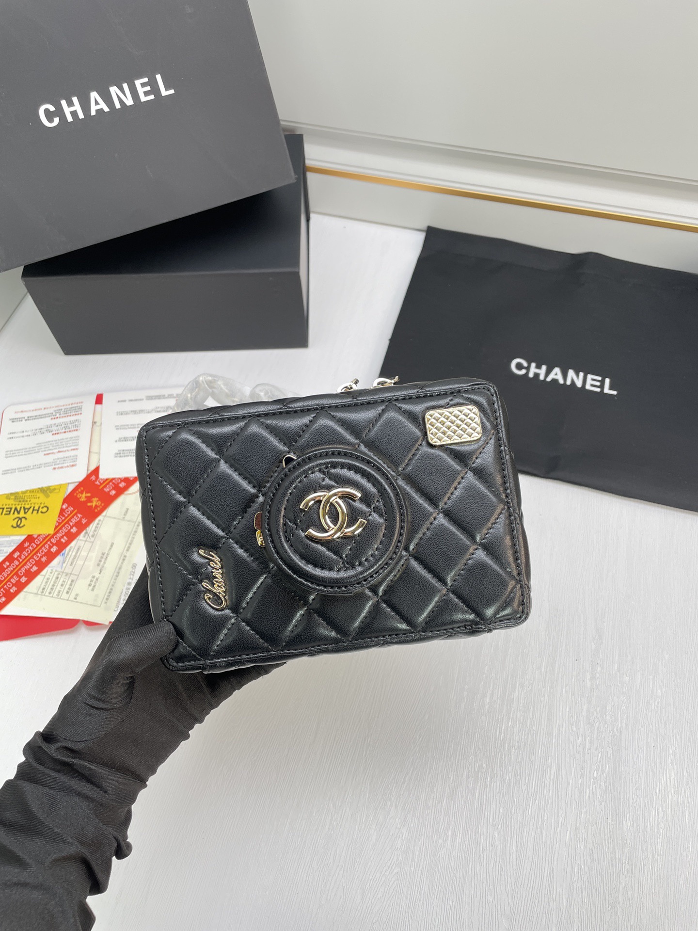 Chanel camera bag 24SS