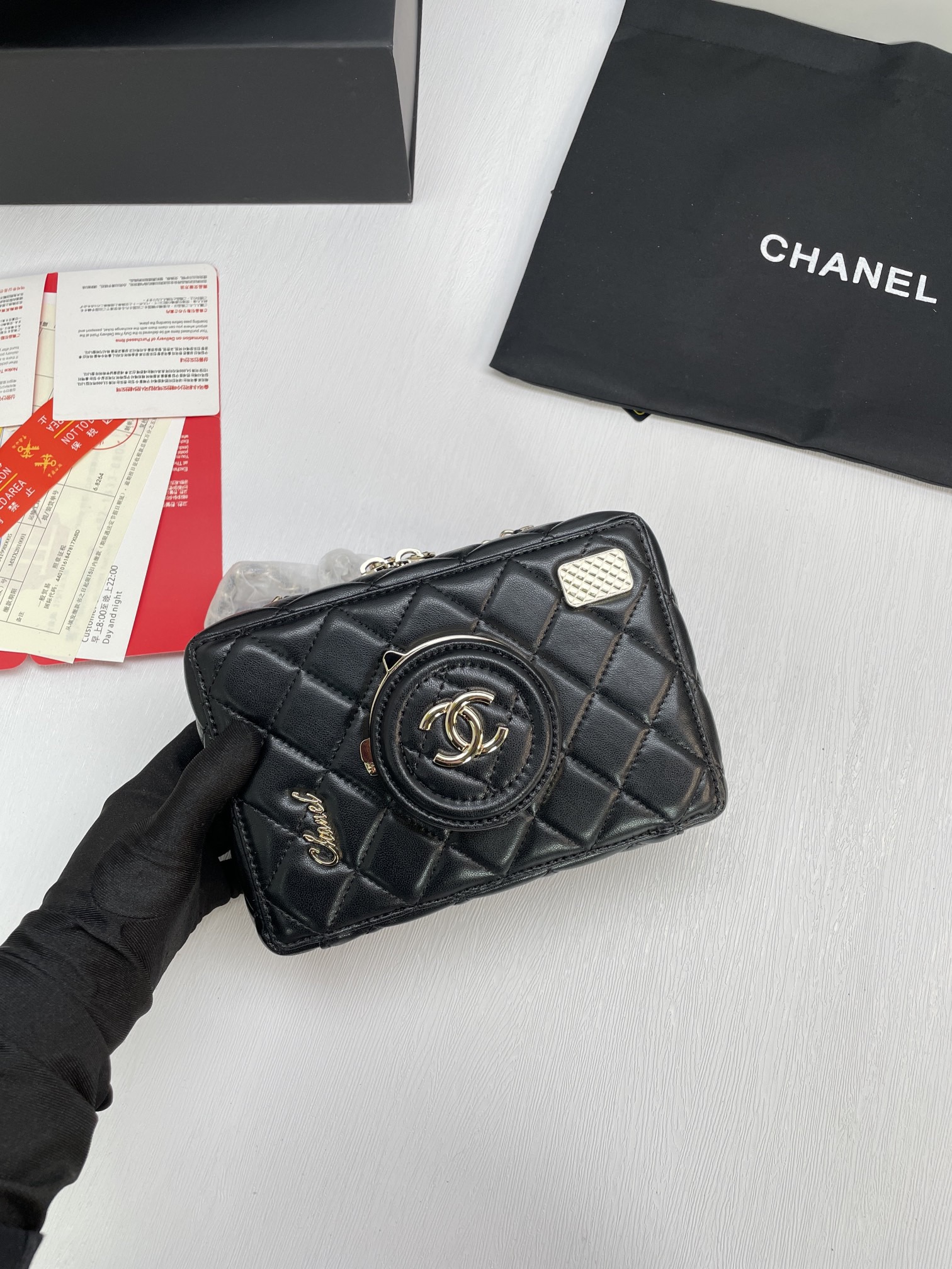 Chanel camera bag 24SS