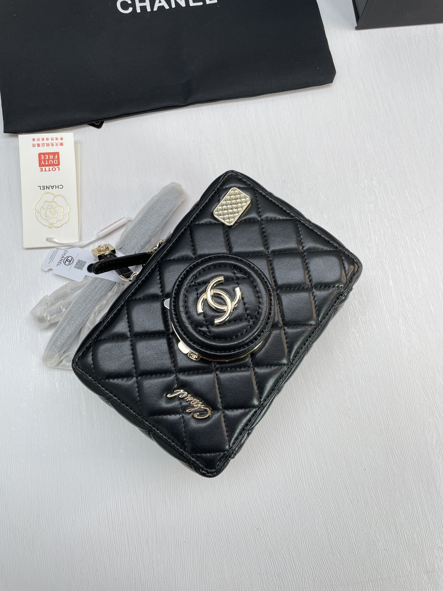 Chanel camera bag 24SS