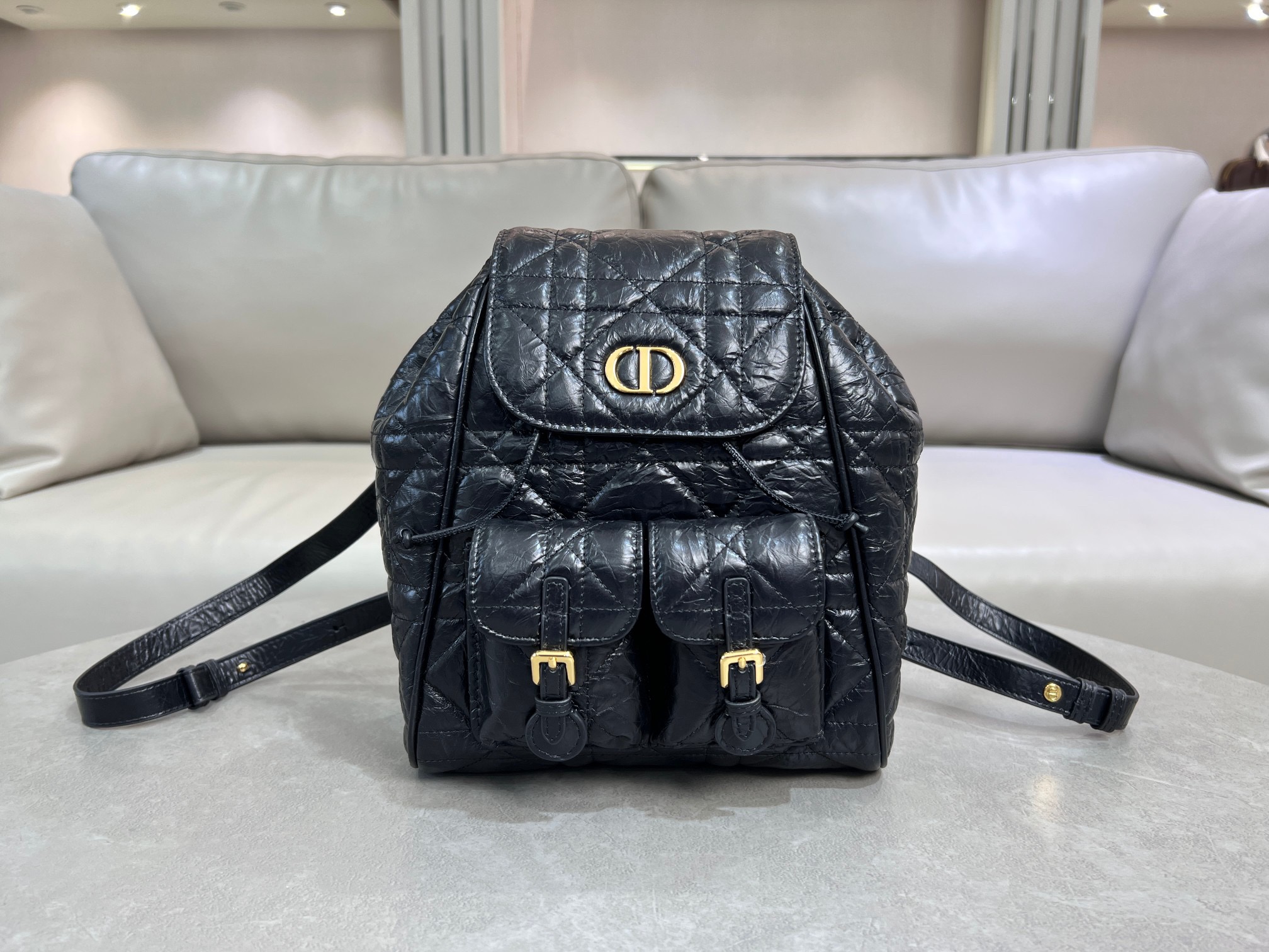 Dior Caro backpack 6301