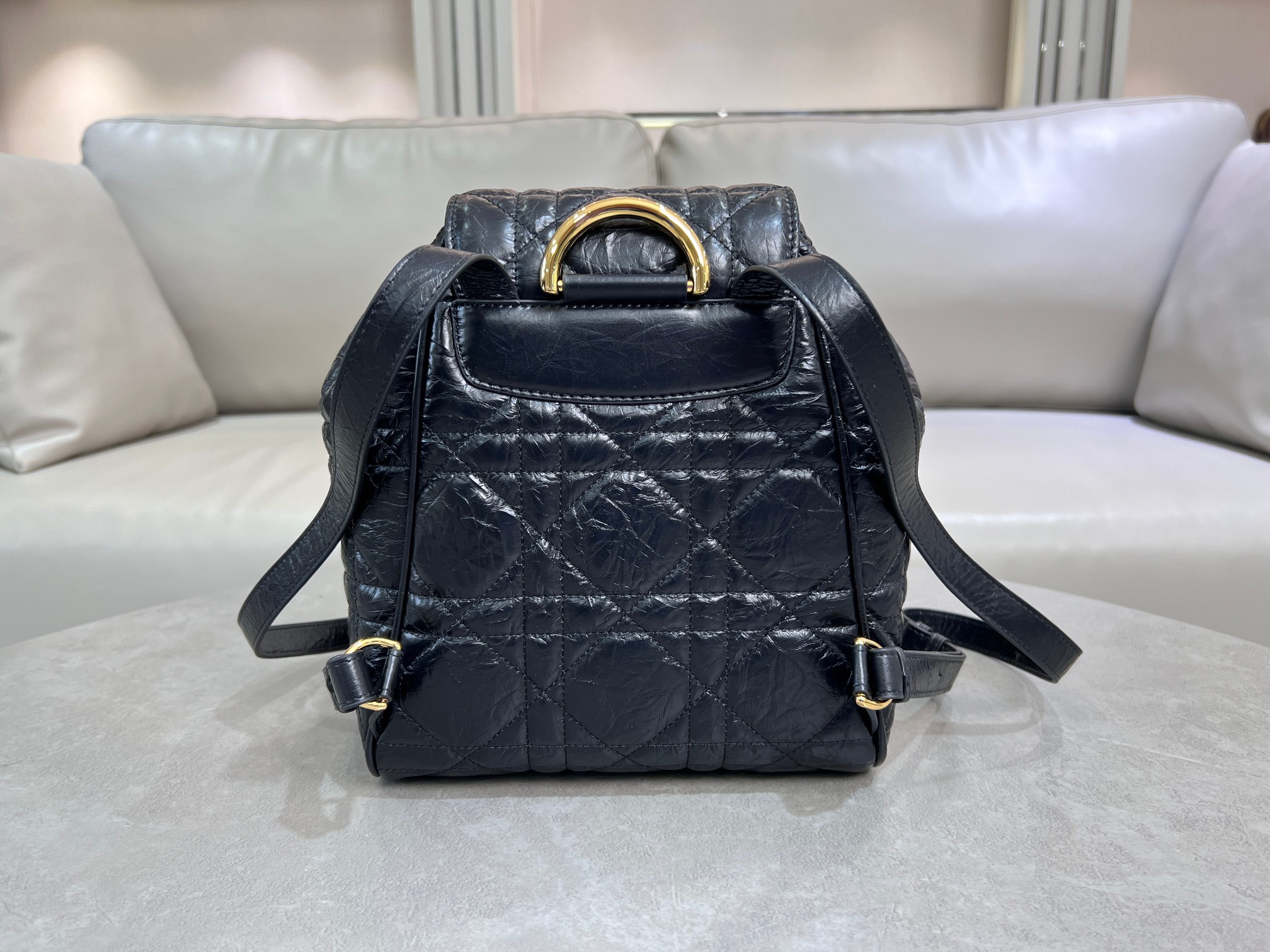 Dior Caro backpack 6301