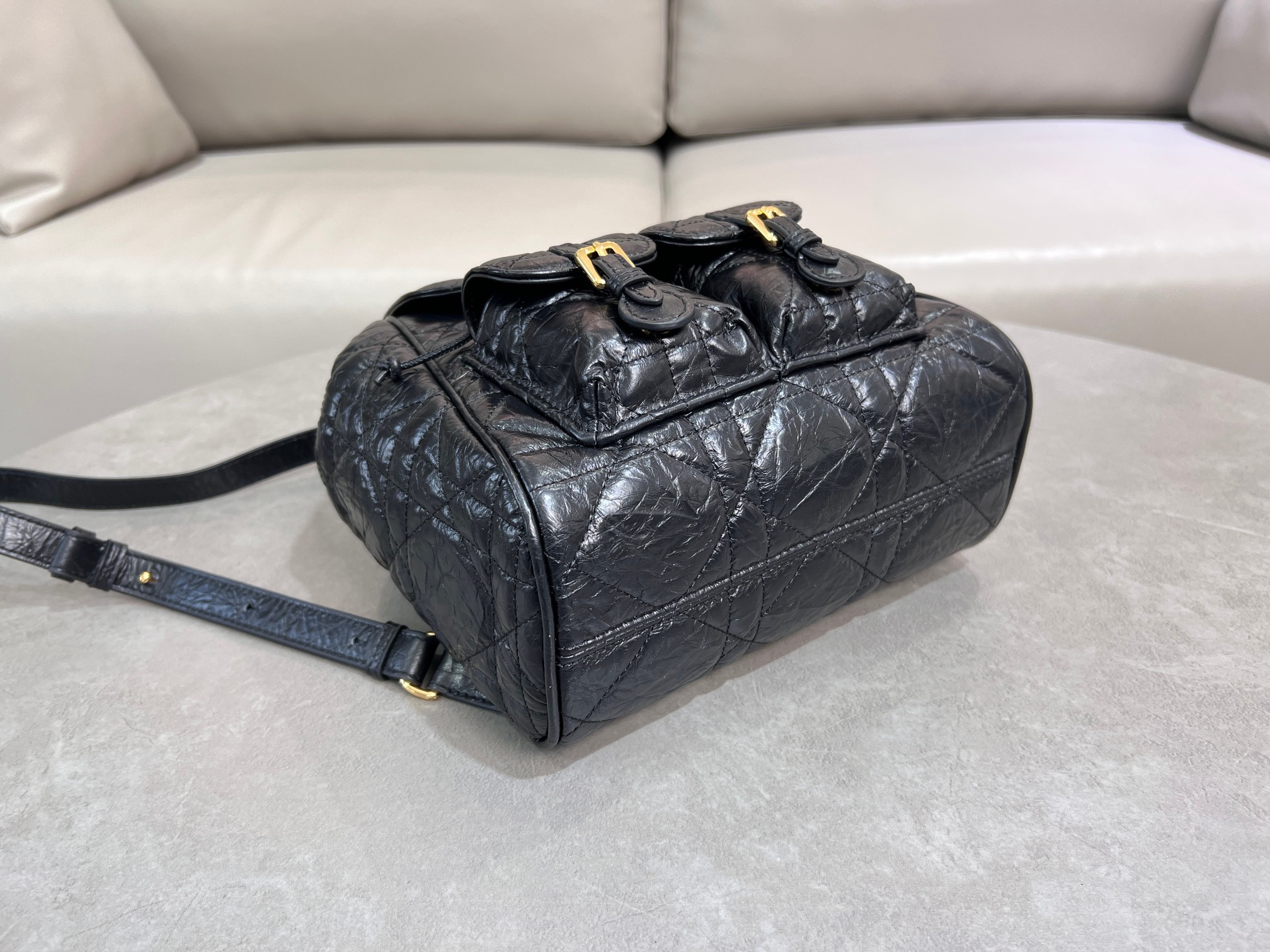 Dior Caro backpack 6301