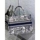 Dior Tote tiger D0126