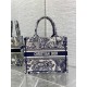 Dior Tote PM D0129