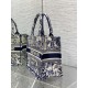 Dior Tote PM D0129