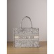 Dior Tote  MM D0132