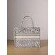 Dior Tote  MM D0132