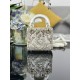 Lady Dior D0134