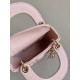 DlOR micro lady bag D0140