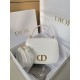 Dior Top handle D0141