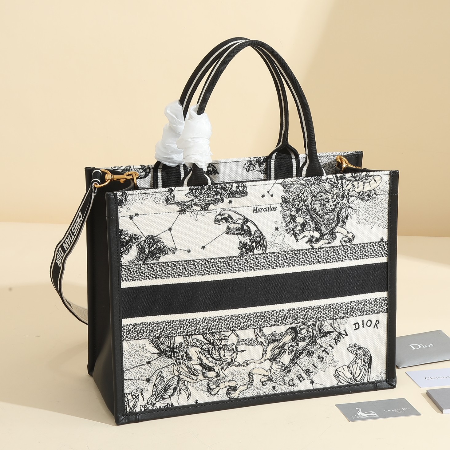 Dior MM book tote series D0143