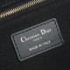 Dior MM book tote series D0143