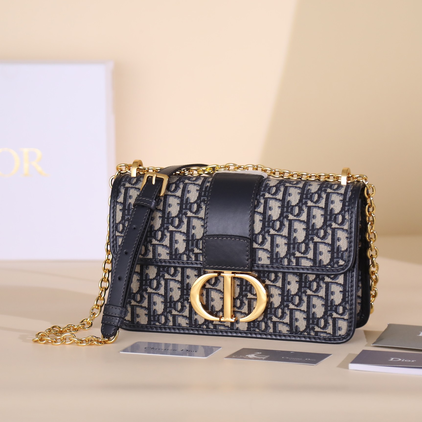 Dior montaigne GM handbag D0146