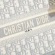 Dior book tote  D0148