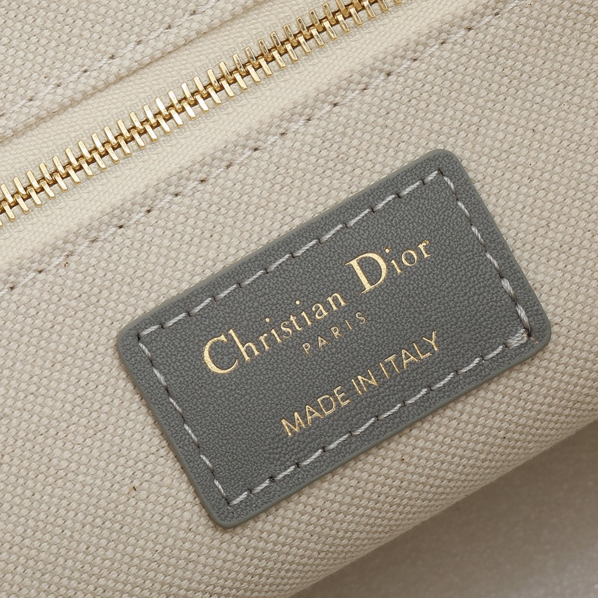 Dior book tote  D0148