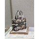 Dior Mini book tote D0152