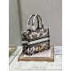 Dior Mini book tote D0152