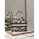 Dior Mini book tote D0152