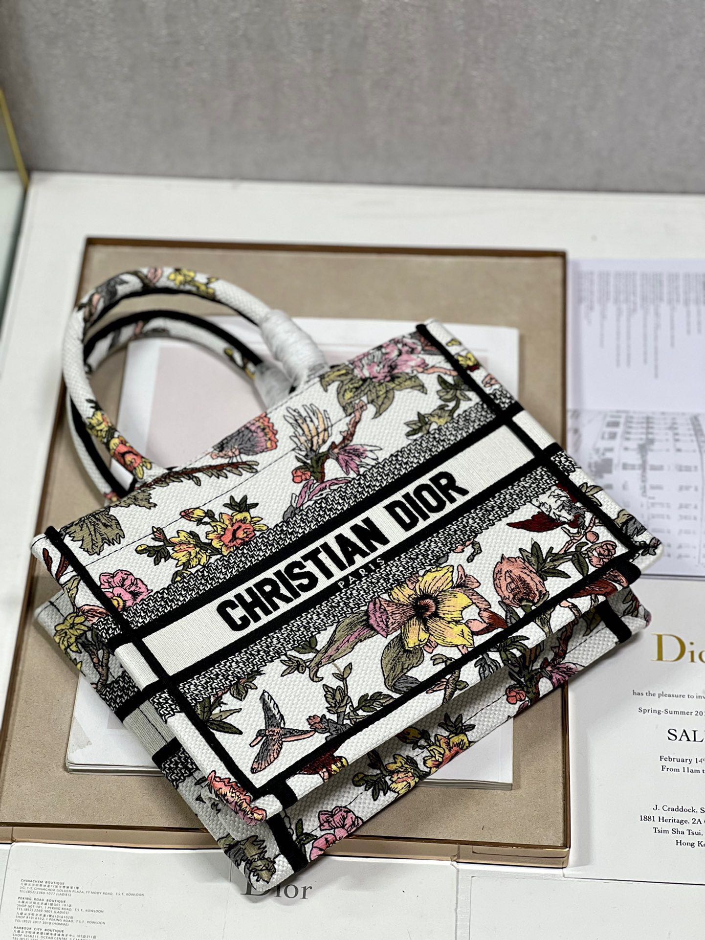 Dior Mini book tote D0152