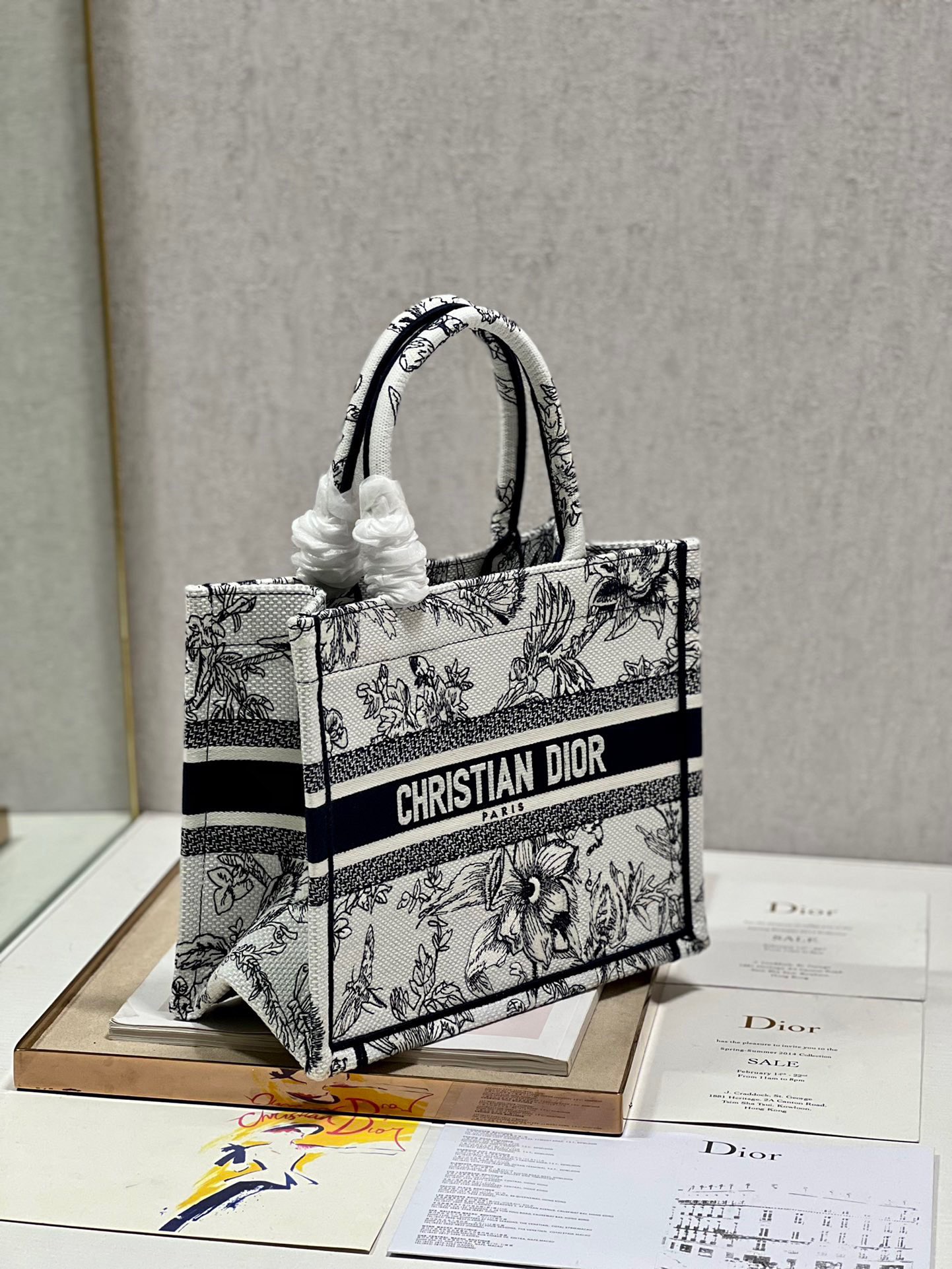 Dior Mini book tote D0153