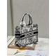 Dior Mini book tote D0153