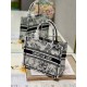 Dior Mini book tote D0153