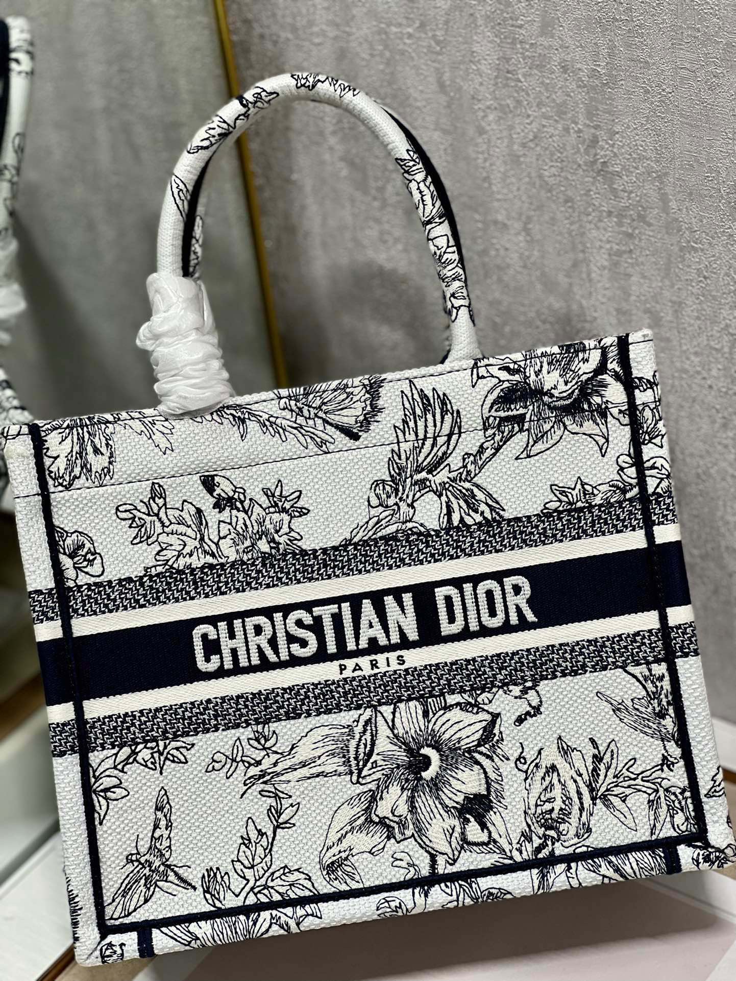 Dior Mini book tote D0153