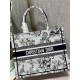 Dior Mini book tote D0153