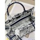 Dior Mini book tote D0153