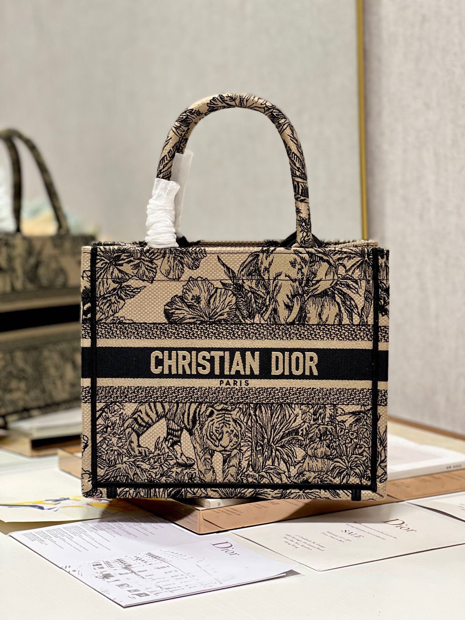 Dior Mini book tote D0154