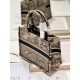 Dior Mini book tote D0154