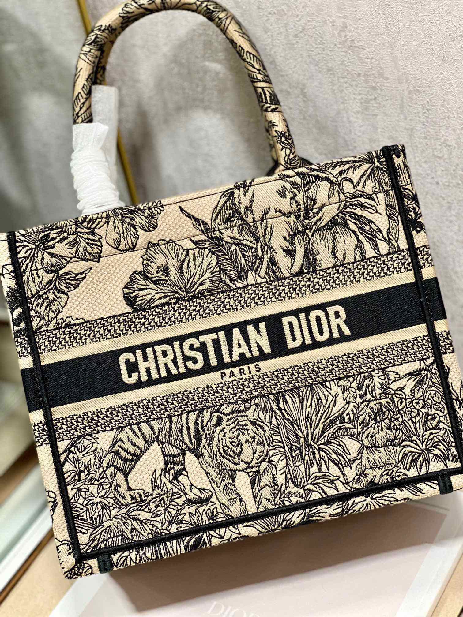 Dior Mini book tote D0154