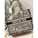 Dior Mini book tote D0154