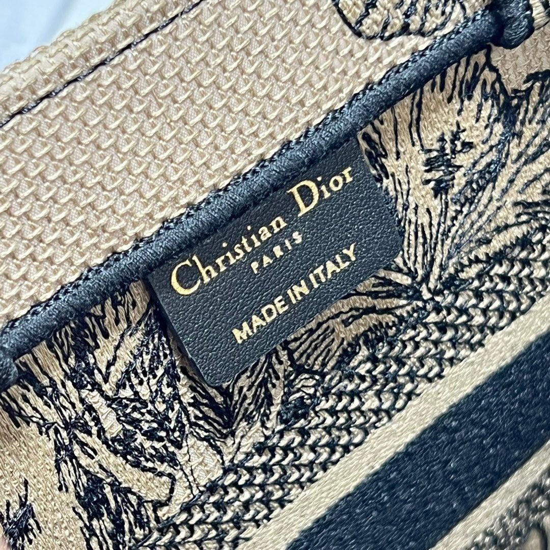 Dior Mini book tote D0154