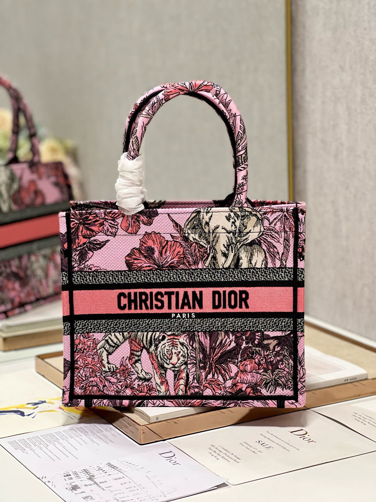 Dior Mini book tote D0155