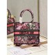 Dior Mini book tote D0155