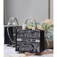 Dior Mini book tote D0156