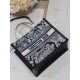 Dior Mini book tote D0156