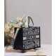 Dior Mini book tote D0156