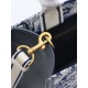 Dior Mini book tote D0156