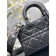 Lady ior PM waxed leather black D0158