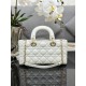 Lady Dior medium checkered lambskin handbag D0159