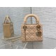 Lady Dior Handbag D0166