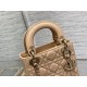 Lady Dior Handbag D0166