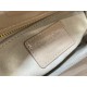 Lady Dior Handbag D0166