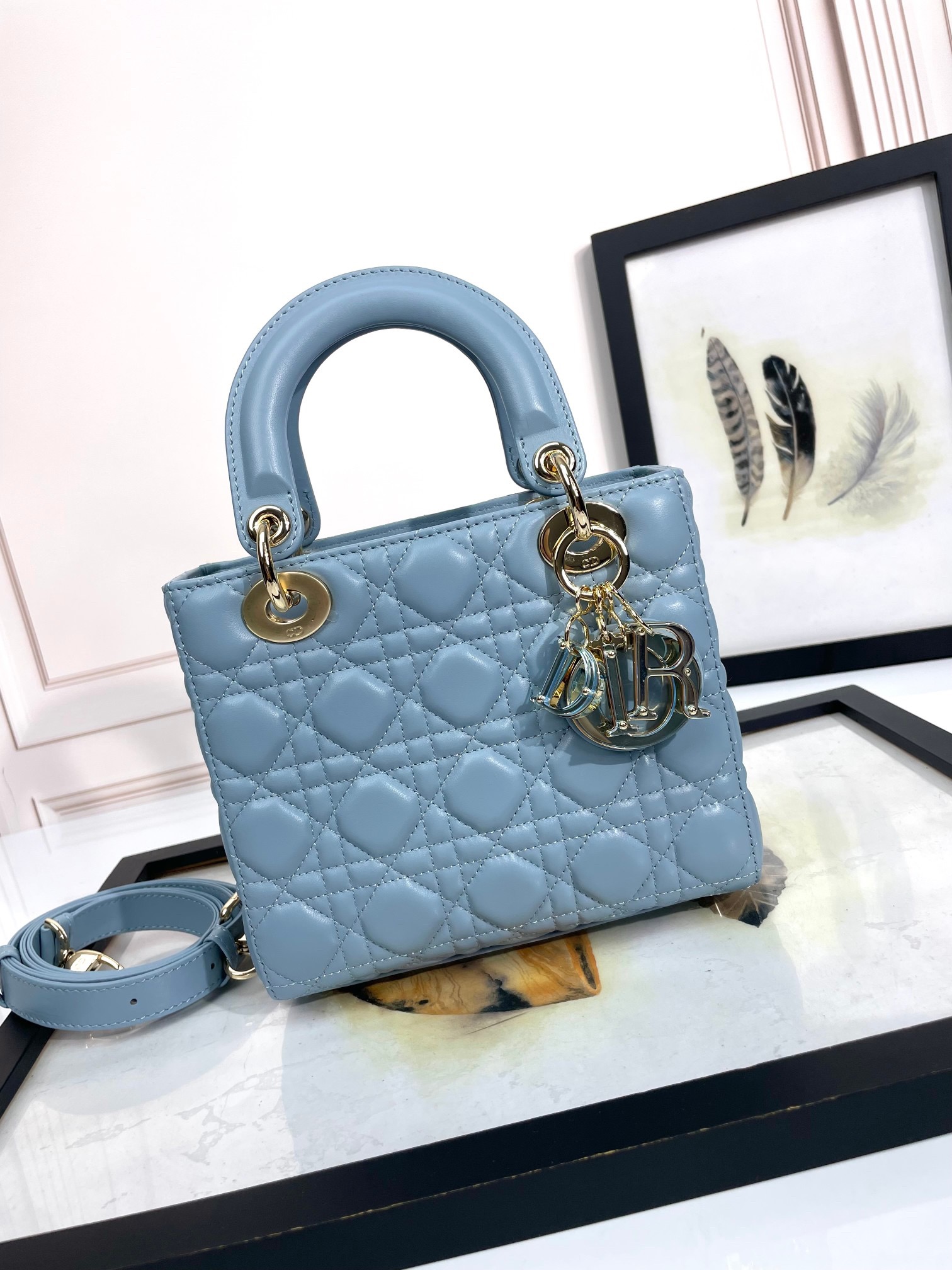 Lady Dior Handbag D0167